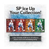 2024/25 UD Ice Hockey Hobby 12 Box Inner Case